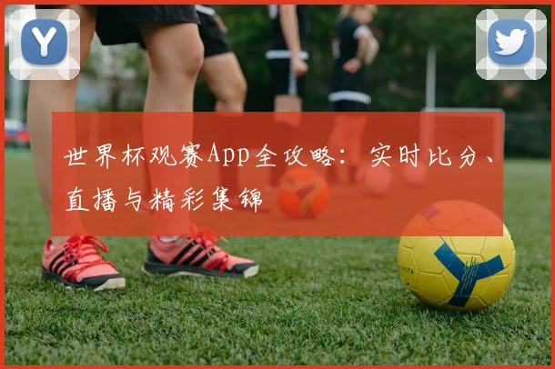 世界杯观赛App全攻略：实时比分、直播与精彩集锦
