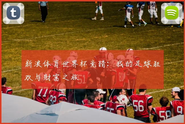 新浪体育世界杯竞猜：我的足球狂欢与财富之旅