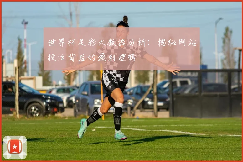 世界杯足彩大数据分析：揭秘网站投注背后的盈利逻辑