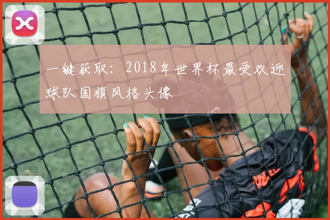 一键获取：2018年世界杯最受欢迎球队国旗风格头像