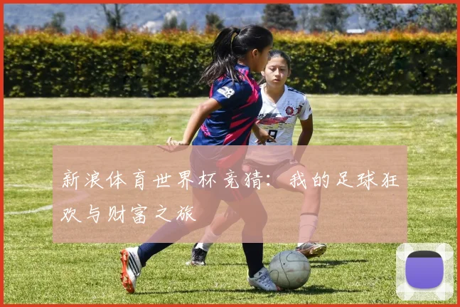 新浪体育世界杯竞猜：我的足球狂欢与财富之旅