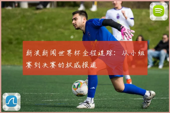 新浪新闻世界杯全程追踪：从小组赛到决赛的权威报道
