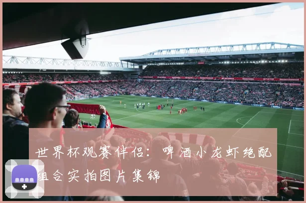 世界杯观赛伴侣：啤酒小龙虾绝配组合实拍图片集锦