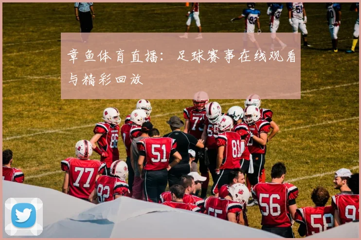 章鱼体育直播：足球赛事在线观看与精彩回放