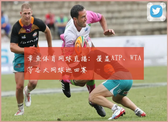 章鱼体育网球直播：覆盖ATP、WTA等各大网球巡回赛