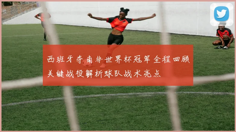 西班牙夺南非世界杯冠军全程回顾关键战役解析球队战术亮点