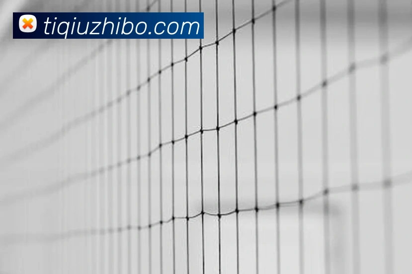 开云app官方入口网页版全站App